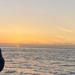 Meet your Posher, Bailey